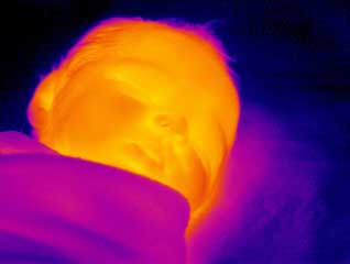 A thermal image of a human baby sleeping from the Prism DS Infrared Camera