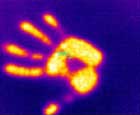 A thermal image of a hand taken with the RAZ-IR Infrared Camera