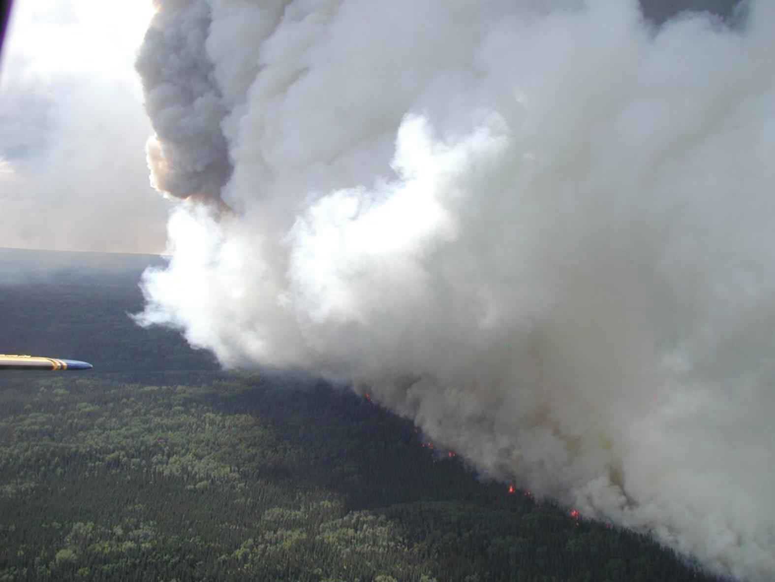 forest fire from the view of a UAV drone